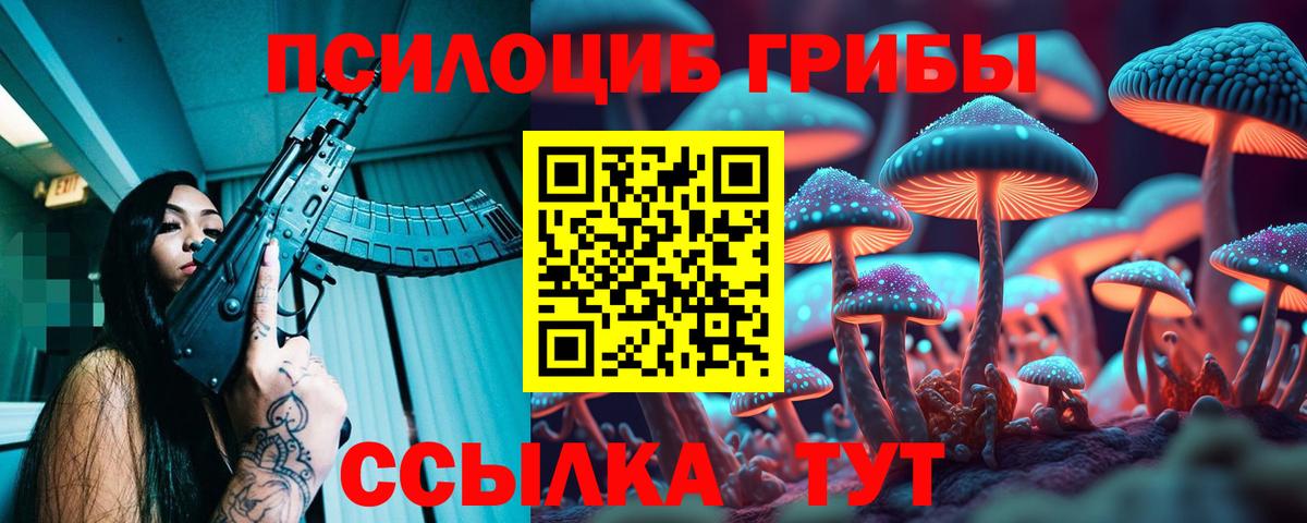 Кимры  как найти   Вход с VPN  Галлюциногенные грибы прущие грибы 